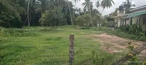 92 perches Land for sale in Thibirigaskatuwa, Negombo.Gampaha