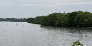 6 acres Lagoon Facing Land for sale in Wanathavilluwa (C7-9945)