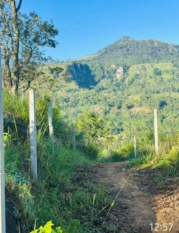 Kandy Haguranketa Land for Sale ( Rls - 705)