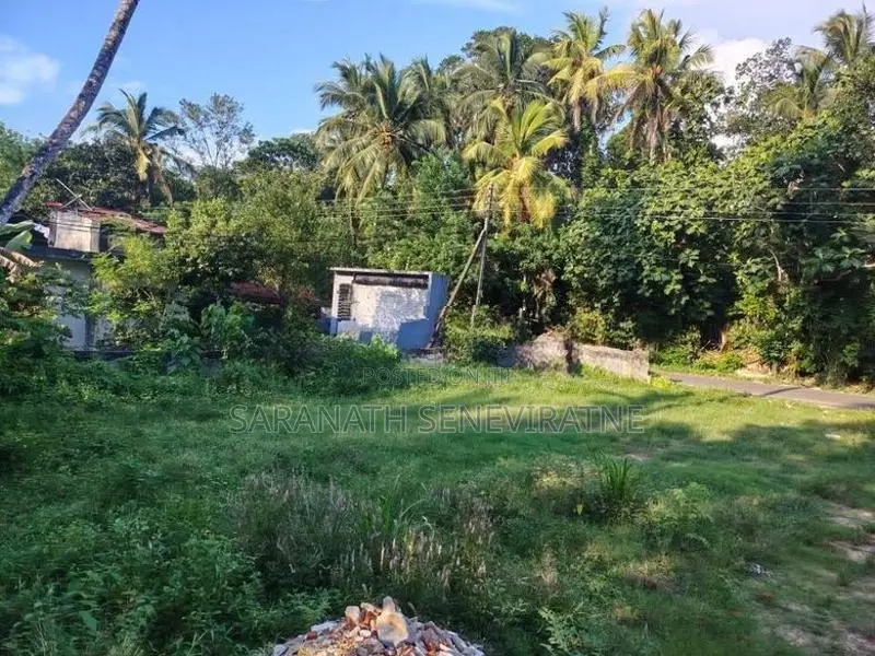 Land in Pannipitiya Weera Mw