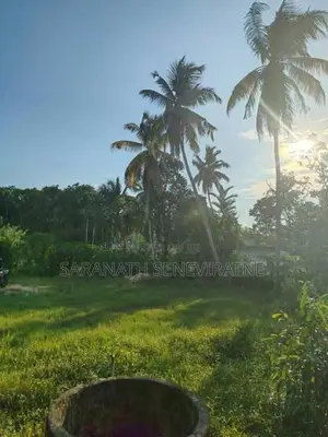 Land in Pannipitiya Weera Mw