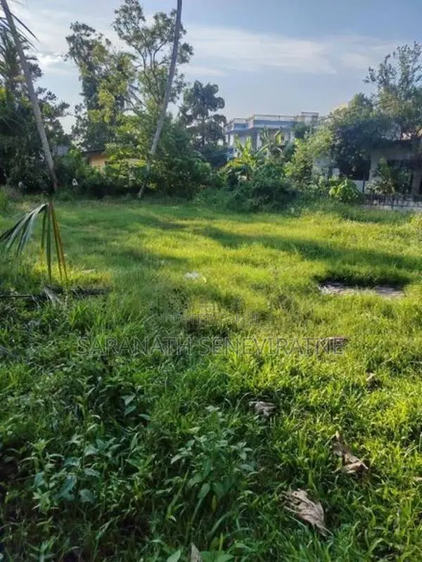 Land in Pannipitiya Weera Mw