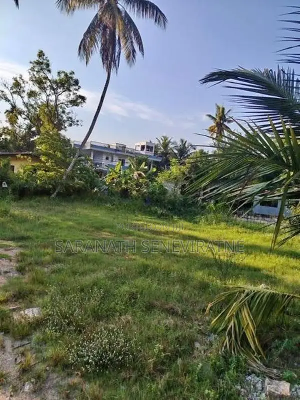 Land in Pannipitiya Weera Mw