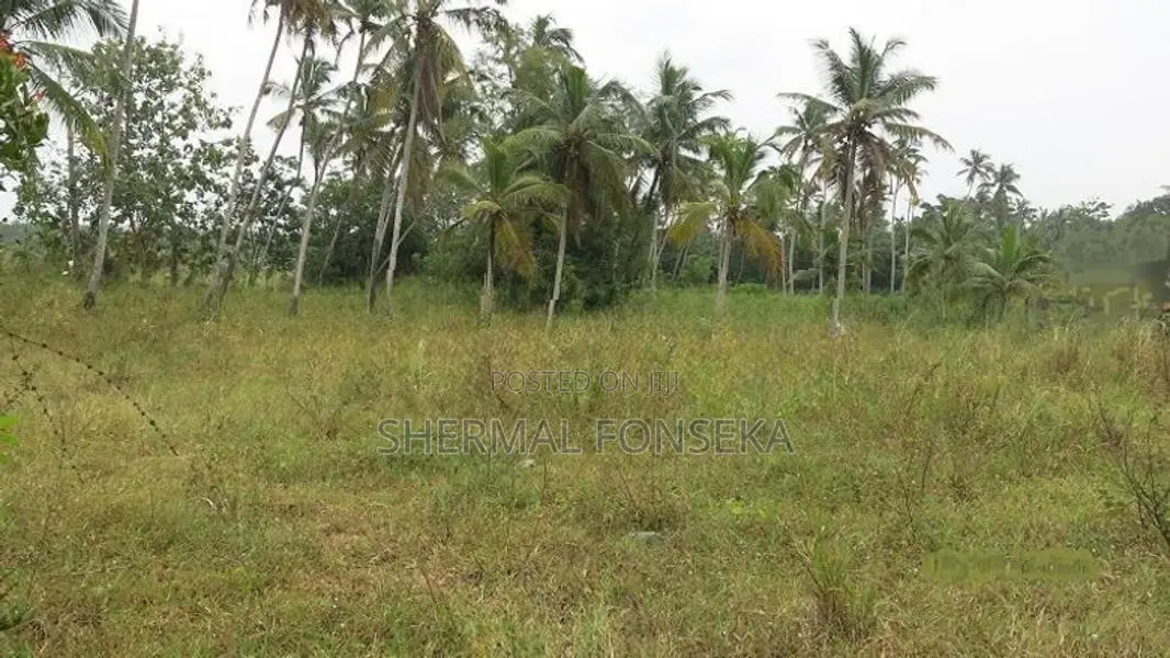 Kotugoda Minuwangoda Main Rd. Land on Sale for factory warehouse store