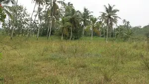 Kotugoda Minuwangoda Main Rd. Land on Sale for factory warehouse store