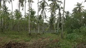 Kotugoda Minuwangoda Main Rd. Land on Sale for factory warehouse store