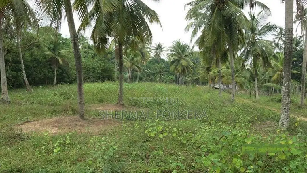 Kotugoda Minuwangoda Main Rd. Land on Sale for factory warehouse store