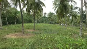 Kotugoda Minuwangoda Main Rd. Land on Sale for factory warehouse store