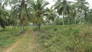 Kotugoda Minuwangoda Main Rd. Land on Sale for factory warehouse store