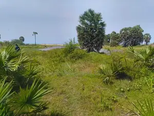 Mullativu Commercial Land for Sale ( Rls - 710 )