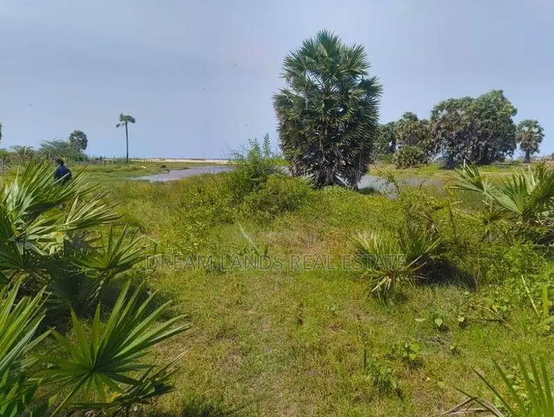Mullativu Commercial Land for Sale ( Rls - 710 )