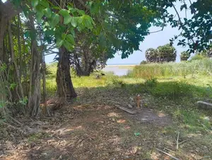 Mullativu Commercial Land for Sale ( Rls - 710 )