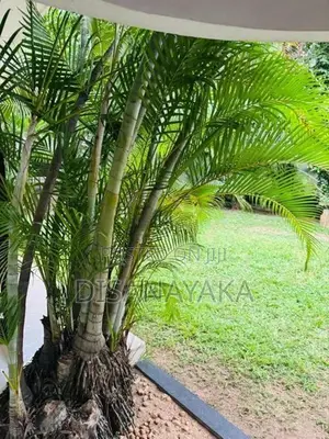 Two Storey House for Sale Nawala DS3820