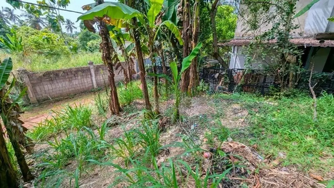 කඩවත මැයිගහමුල හංදියට ලඟින්ම වටිනා ඉඩමක්