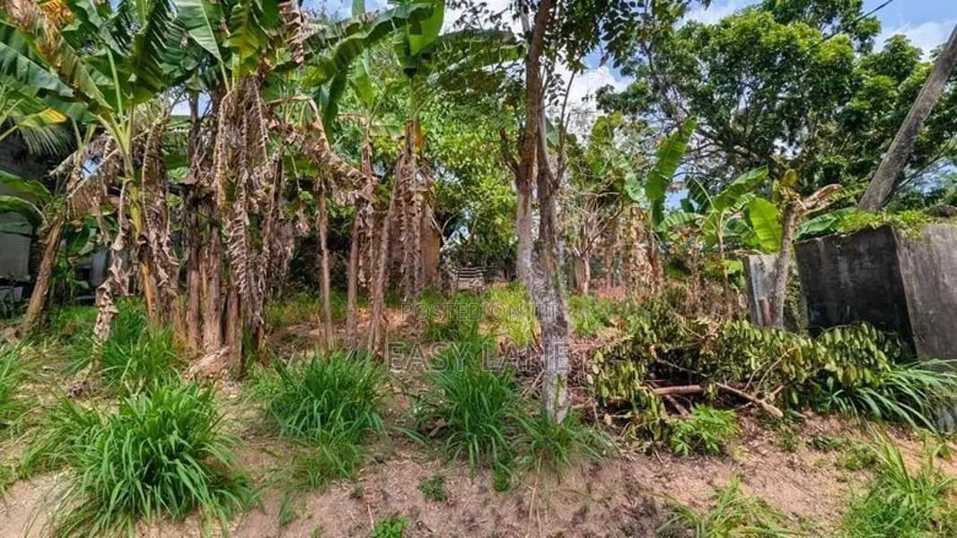 කඩවත මැයිගහමුල හංදියට ලඟින්ම වටිනා ඉඩමක්