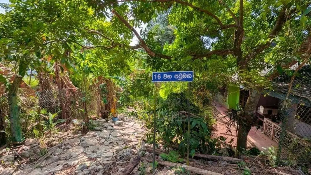 කඩවත මැයිගහමුල හංදියට ලඟින්ම වටිනා ඉඩමක්