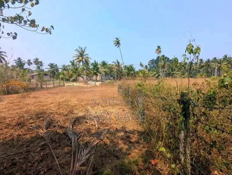මීරිගම - මීගමුව පාරට ආසන්නයෙන් වටිනා ඉඩමක්