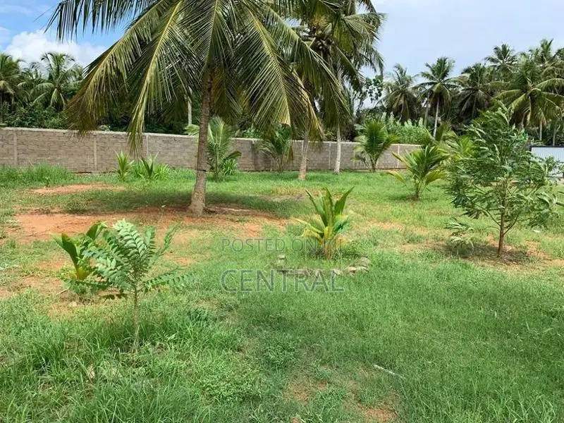 Valuable prime 50 perches land for sale in Bopitiya (C7-6518)
