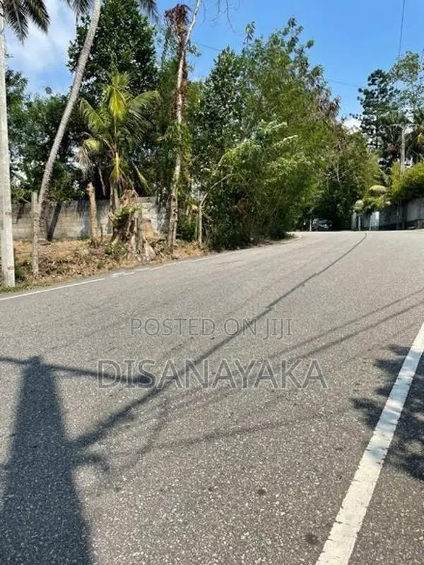 Super Land for Sale Pitakotte Ds1938
