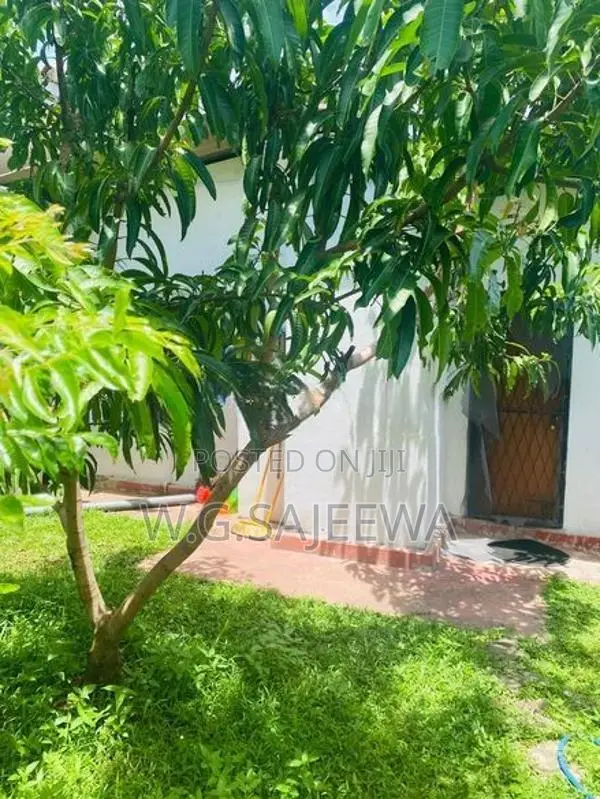 New building Luxury House and old with land for sale in katana