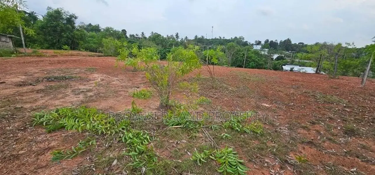 Residential Land - Ethanamadala Kalutara