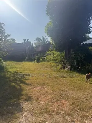 Land for sale in Rathmalana