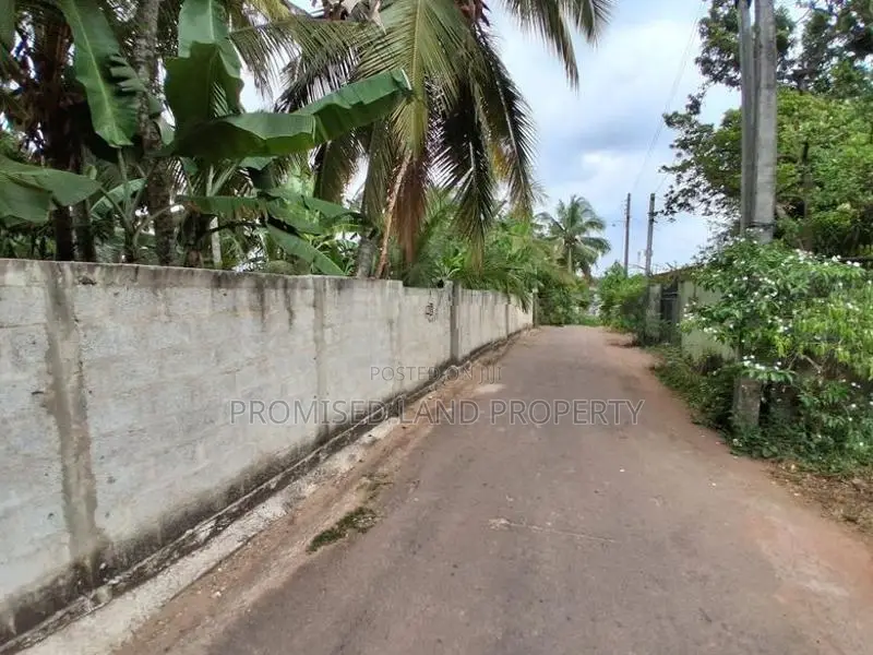 Prime Residential Land in Weera Mawatha, Thalawathugoda