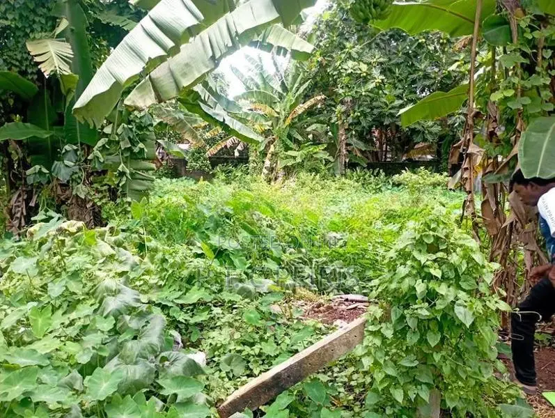 Land for sale in kadirana, Negombo.Gampaha