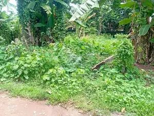 Land for sale in kadirana, Negombo.Gampaha