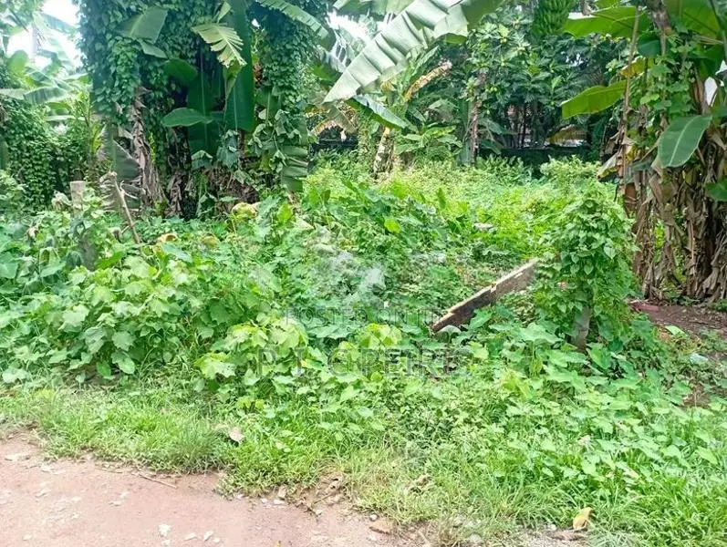 Land for sale in kadirana, Negombo.Gampaha