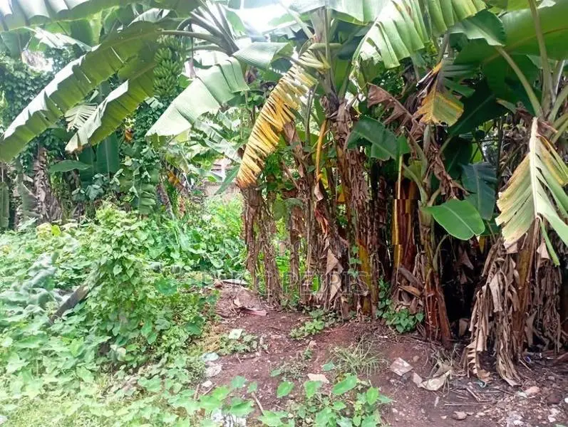 Land for sale in kadirana, Negombo.Gampaha