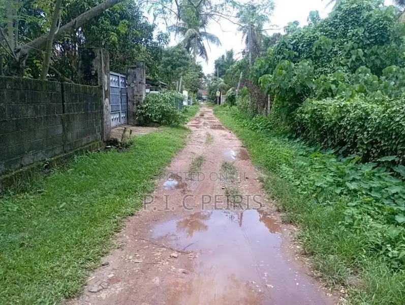 Land for sale in kadirana, Negombo.Gampaha