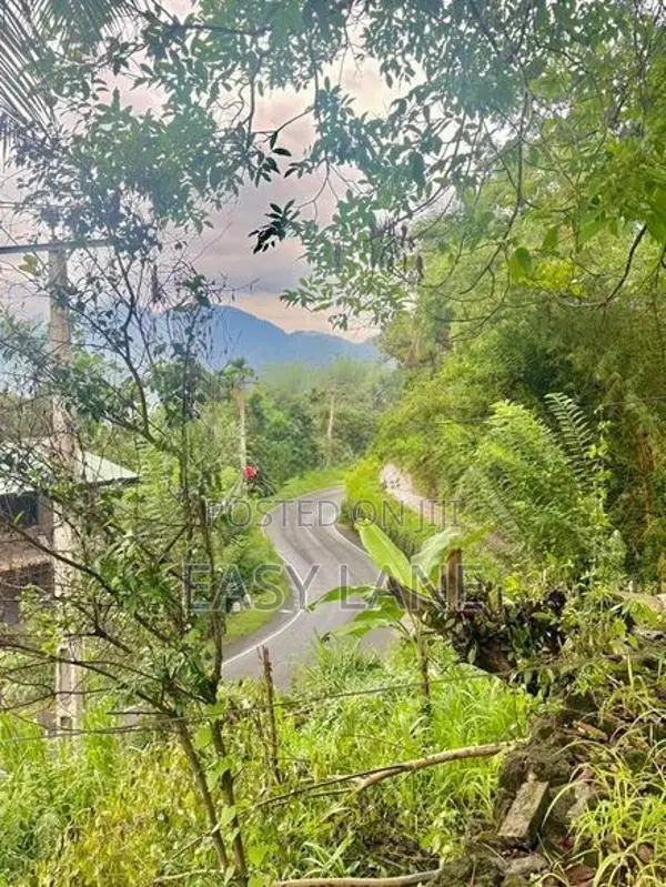 හැටන් - කොළඹ ප්‍රධාන පාරට මුහුණලා නිවසක් සමග ඉඩමක්