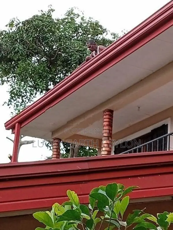Sale, Kandy, Unfurnished 2 Story House For Sale (NZMS3064)