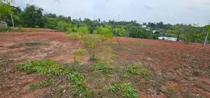 Residential Land for Sale - Kalutara Town 5 Mins