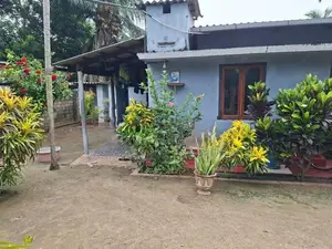Prime Location Land in Chankanai