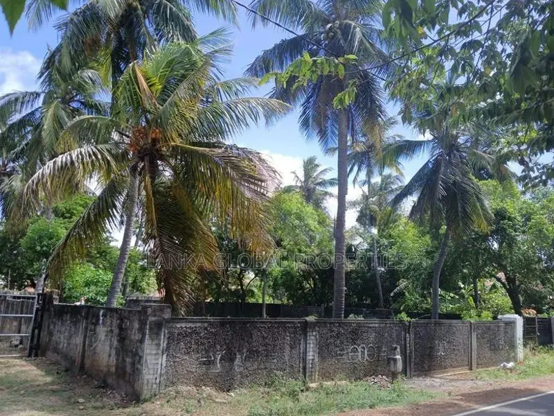 Land for Sale – Columbuthurai