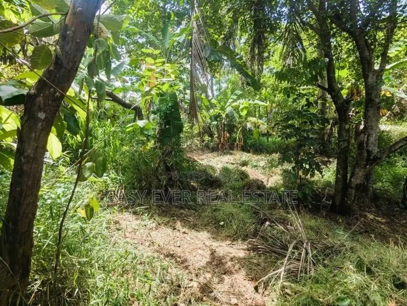 මීරිගම අධිවේගී පිවිසුමට ලඟින් ඉඩමක්