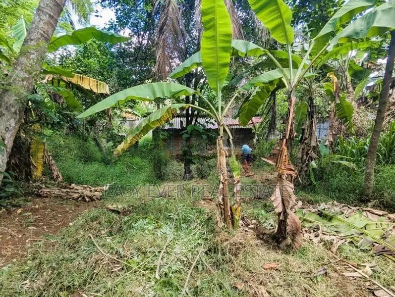 මීරිගම අධිවේගී පිවිසුමට ලඟින් ඉඩමක්
