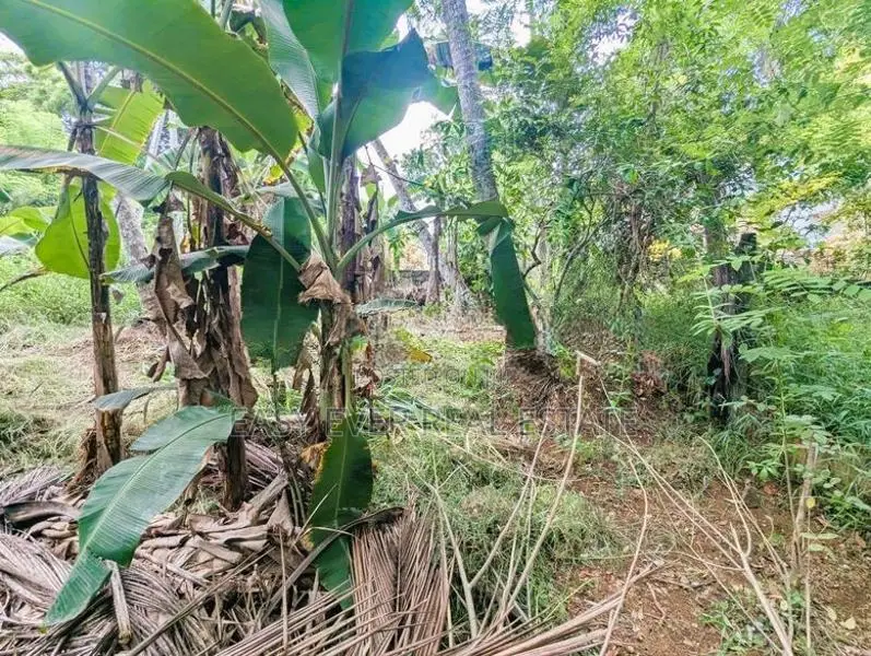 මීරිගම අධිවේගී පිවිසුමට ලඟින් ඉඩමක්