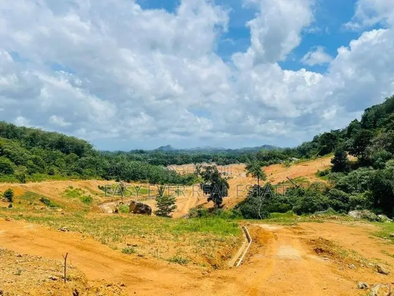 කොළඹ නගරය පෙනෙන මානයේ සුන්දරම වටපිටාවක වටිනා බිම් කොටසක්