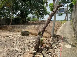 super land for sale in thalawathugoda Ds1767