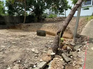 super land for sale in thalawathugoda Ds1767