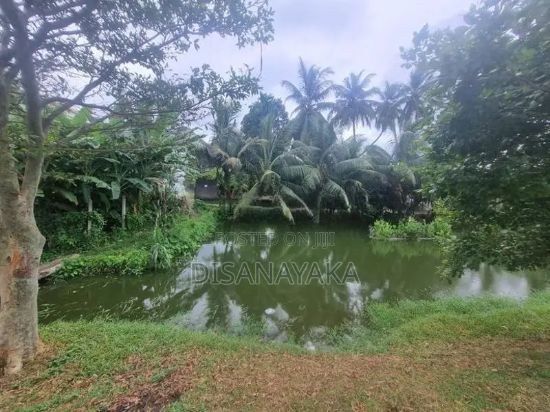land for sale in koswatte Ds30000