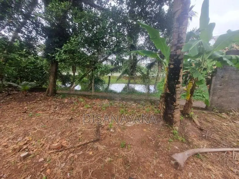land for sale in koswatte Ds30000