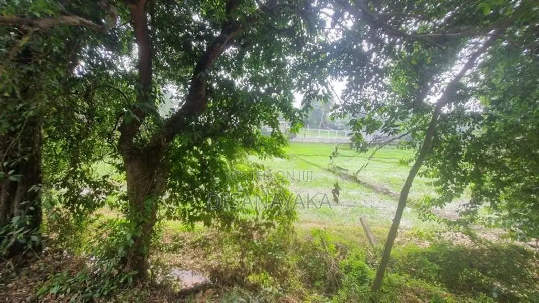 super land for sale in malabe Ds15273