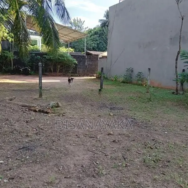 super land for sale Ds197230