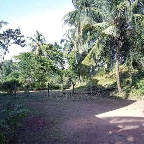 super land for sale Ds197230