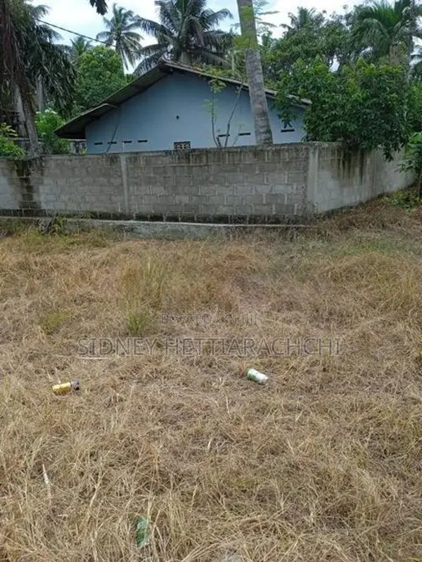 Valuable Land for Sale