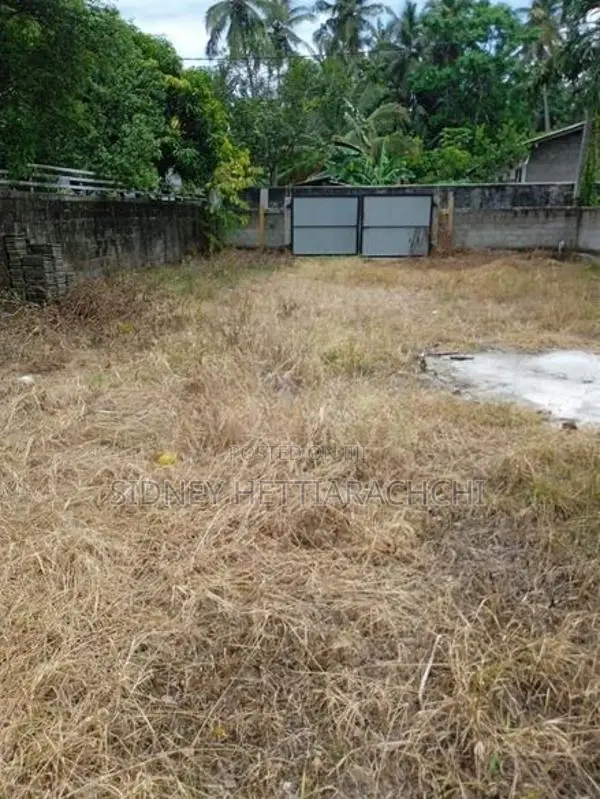 Valuable Land for Sale